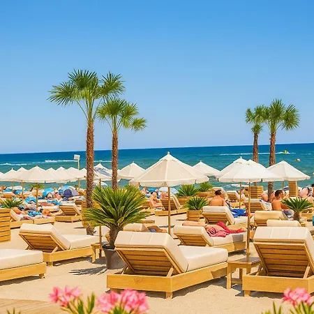 Rox - Axxis Mamaia